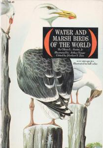 Marsh and Water Birds